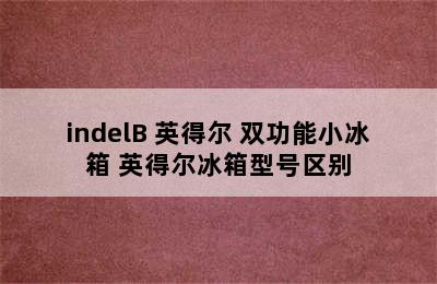 indelB 英得尔 双功能小冰箱 英得尔冰箱型号区别